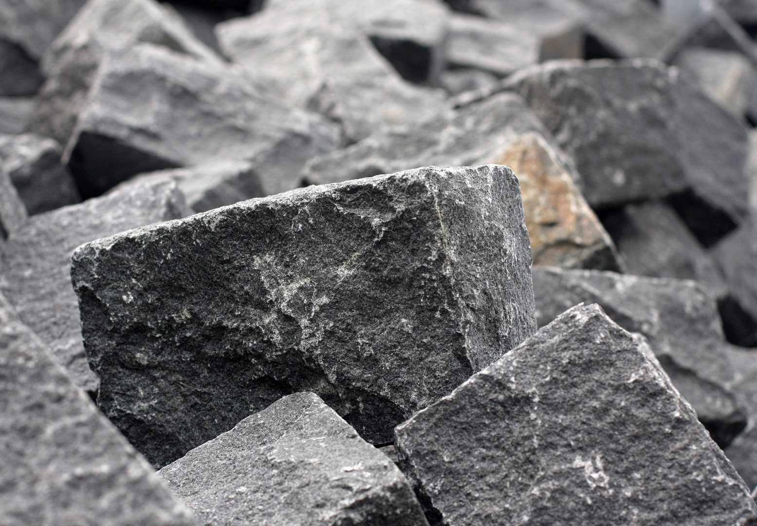 Sort indisk brosten closeup