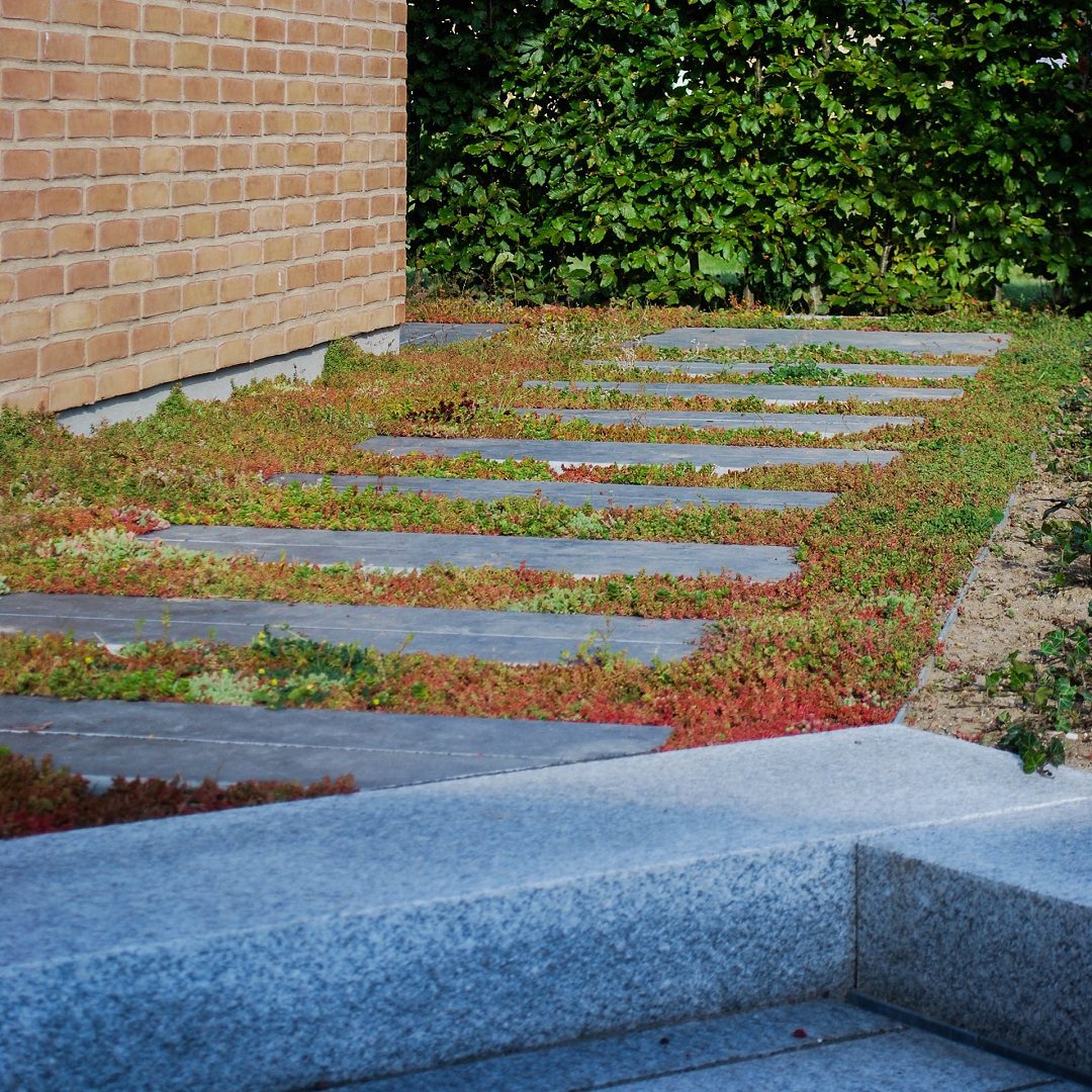 Kongsberg limestone trædesten